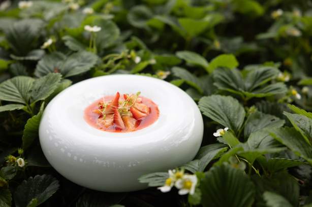 Les jardins sauvages, restaurant gastronomique bio & locavore de la Grée des Landes, La Gacilly, Bretagne