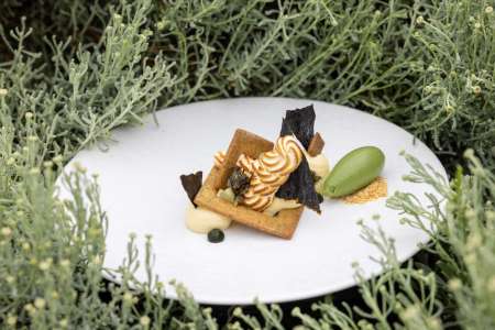 Les jardins sauvages, restaurant gastronomique bio & locavore de la Grée des Landes, La Gacilly, Bretagne, menu dégustation