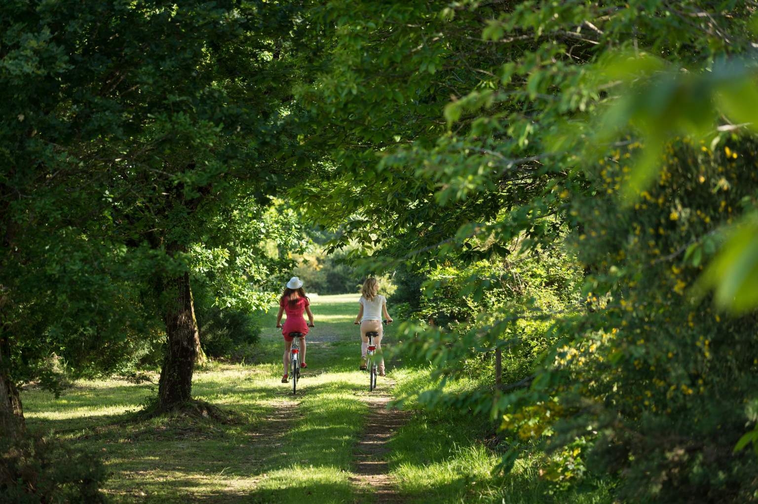 Wellness Yves Rocher La Grée des Landes Hôtel Spa en Bretagne, dans le Morbihan