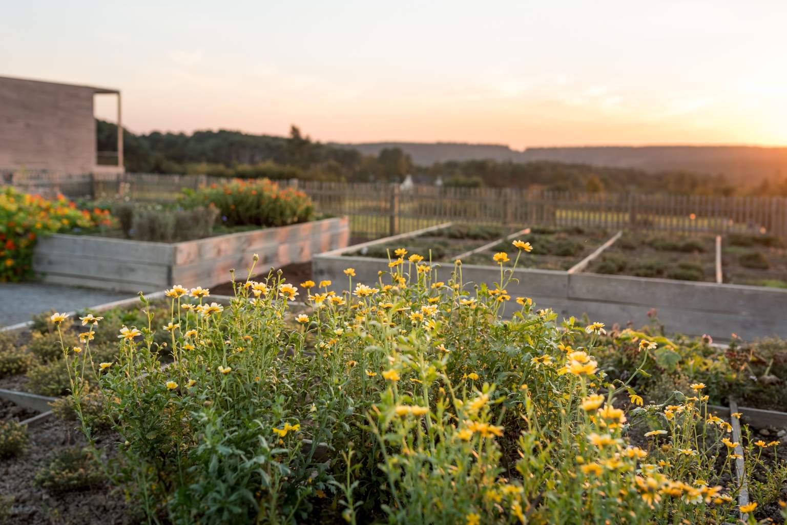 Les Jardins Sauvages in La Gacilly Organic Restaurant Brittany
