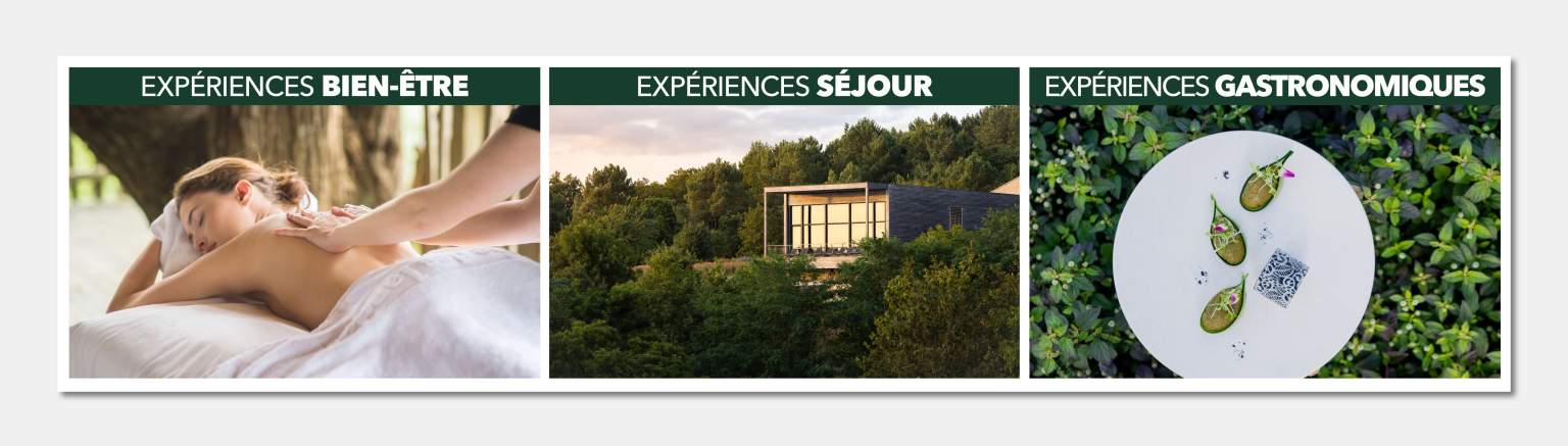 La Grée des Landes_ mosaique été 2025