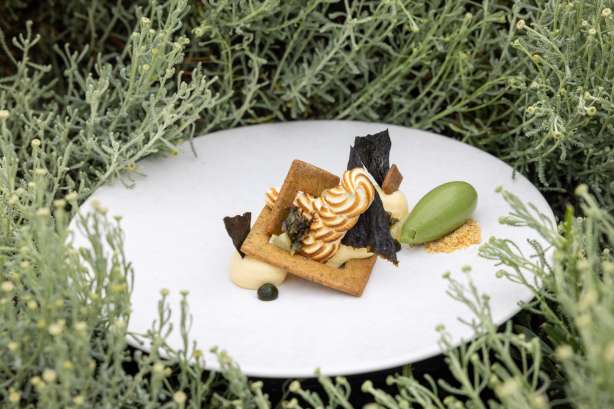 Les jardins sauvages, restaurant gastronomique bio & locavore de la Grée des Landes, La Gacilly, Bretagne, menu dégustation